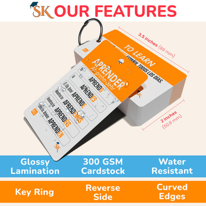 Learn verbs with these!