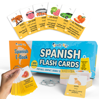 Learn everyday nouns